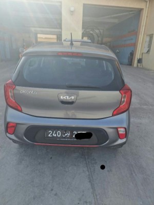  Kia Picanto à vendre – Économique et pratique
